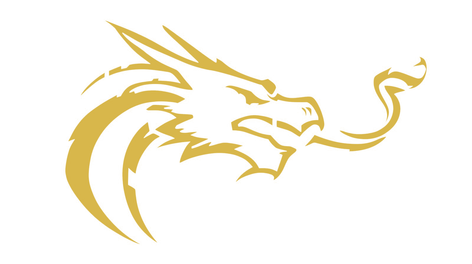 Dragon Fuel