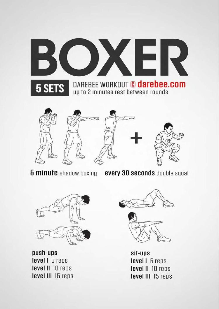 Boxer workout poster