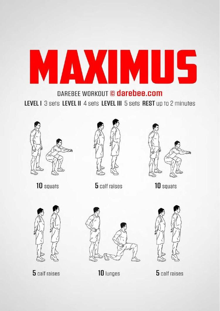 Maximus workout poster