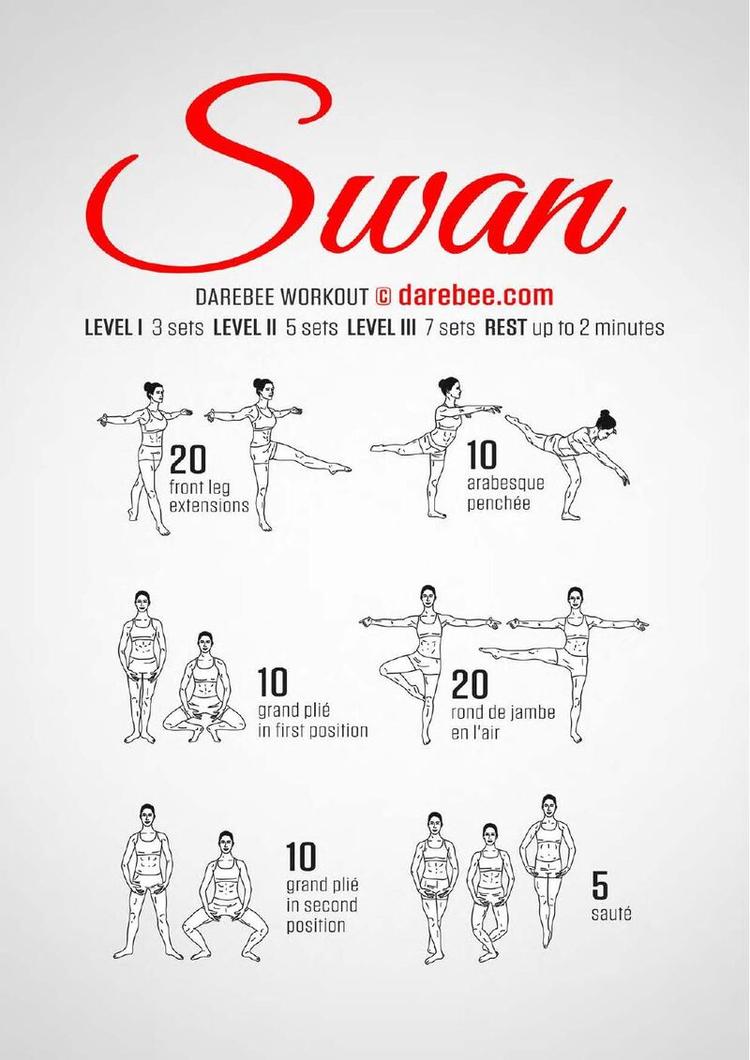 Swan workout poster