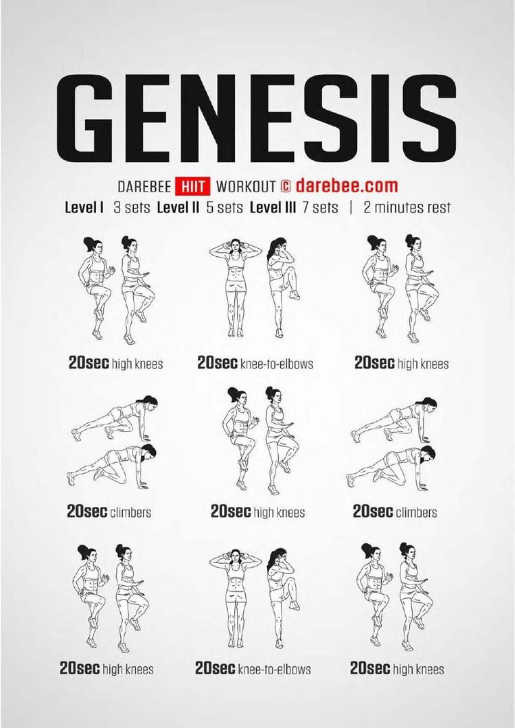 Genesis workout poster