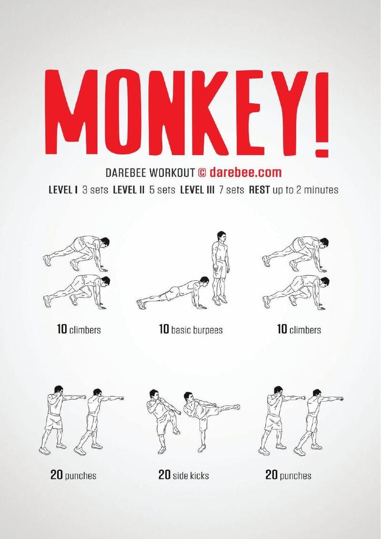 Monkey workout poster