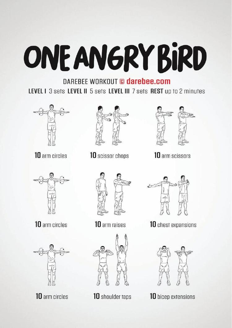 One Angry Bird workout poster